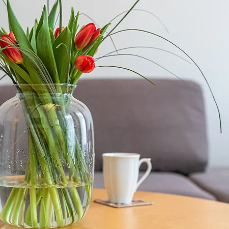 Neptun - Billberry アパート *